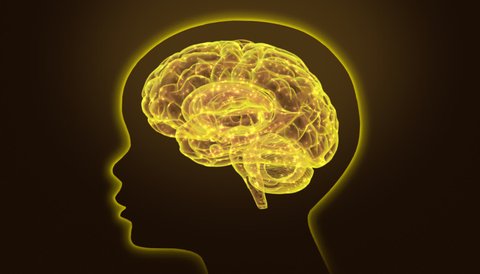 Head shape of Kid with brain on Gold Stroke Line on Gradient background
