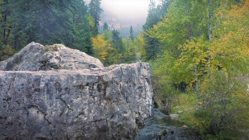 Aerial flying over a river flowing through the autumn colored Black Hills National Forest. South Dakota, USA
