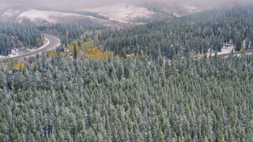 Aerial: Mountain forest covered in snow at Bighorn National Forest, Wyoming, USA 