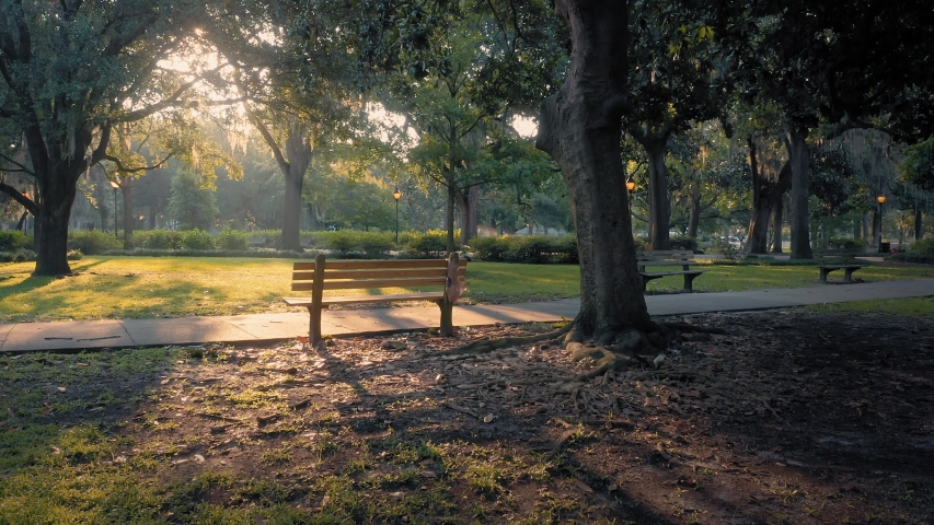 Aerial: Park bench and ray of light. Forsyth Park. Savannah, Georgia, USA. 