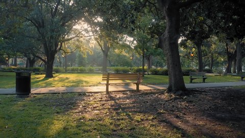 Aerial: Park bench and ray of light. Forsyth Park. Savannah, Georgia, USA. 