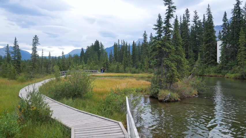 Landscape view in park with wooden pathway near small canal/river flow through the pine tree forest in summer daytime in city of Canmore,Canada