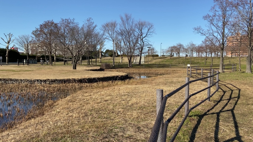 Ogunohara Park in Japan, Tokyo