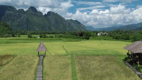 Aerial view of green rice fields and mountains, paddy field at Vang Vieng , Laos. Southeast Asia. Video made by drone from above. Bird eye view.