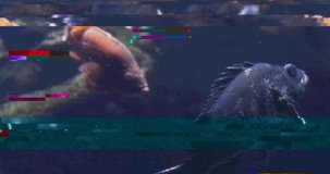 Glitch effect noise in a footage with fish underwater. Naturalistic clip with noise and errors. Global warming concept for ocean increasing temperature. Damaged footage with noise and glitch. Fishes