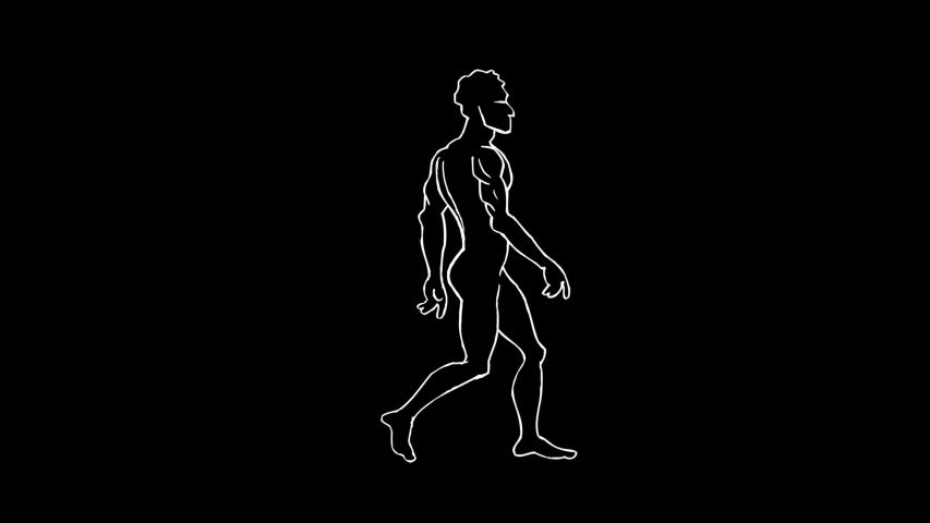 Human Evolution Animation. Progress Growth Development. Monkey, Neanderthal, Primate, Homo Sapiens. 