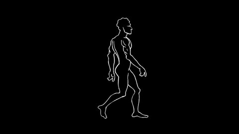 Human Evolution Animation. Progress Growth Development. Monkey, Neanderthal, Primate, Homo Sapiens. 