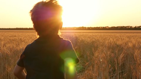 A blond boy runs among the ears of wheat to meet the sunset. A child runs through a field of ripe wheat. The camera slowly follows the running child. Agriculture, carefree childhood.