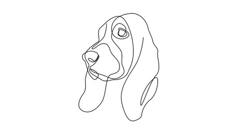 Self drawing simple animation of single continuous one line drawing Basset Hound. Dog head drawing by hand, black lines on a white background. The concept of wildlife, pets, veterinary.