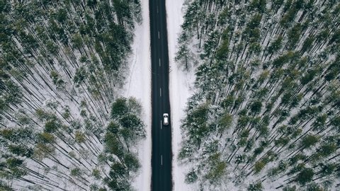 AERIAL pursuit, chase, chasing shoot view : silver white car driving down an asphalt road crossing the vast forest on a winter day. drive through the idyllic woods in picturesque. Green Forest in snow