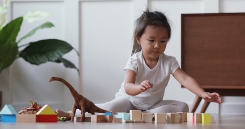 Cute adorable small asian child girl sit on warm heated floor holding toys at home nursery, focused little kid playing with wooden blocks and dinosaurs alone in kindergarten, children games concept