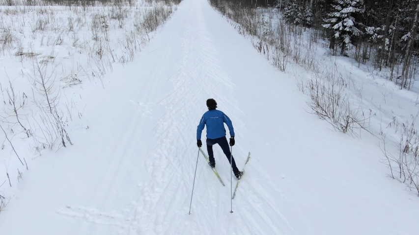Professional athlete does cross country skiing along snowy track among bare trees by evergreen forest aerial backside view