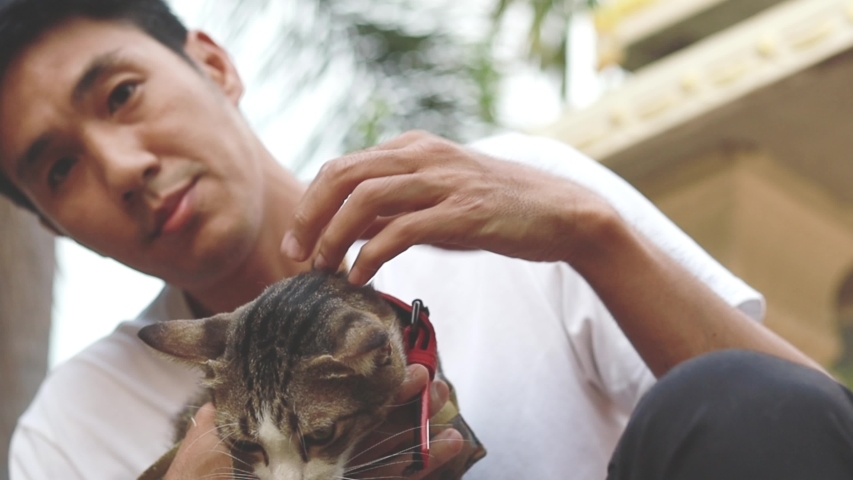 Asian man carry cat on home blurred blackground with sunlight for people animal lifestyle