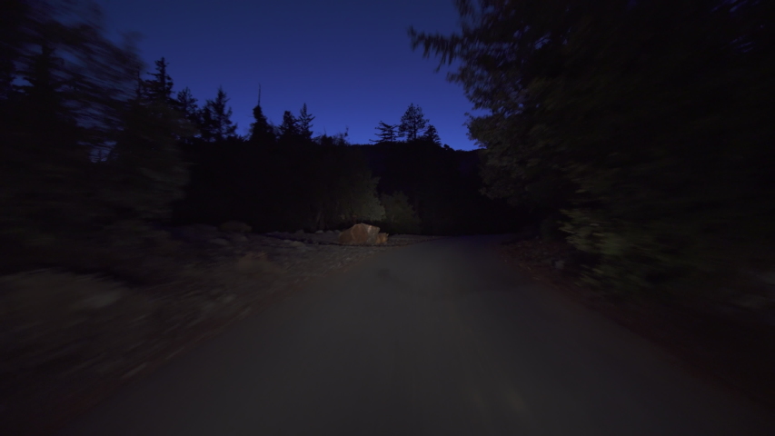Alpine Forest Narrow Road Before Dawn Driving Plate Rear View 02