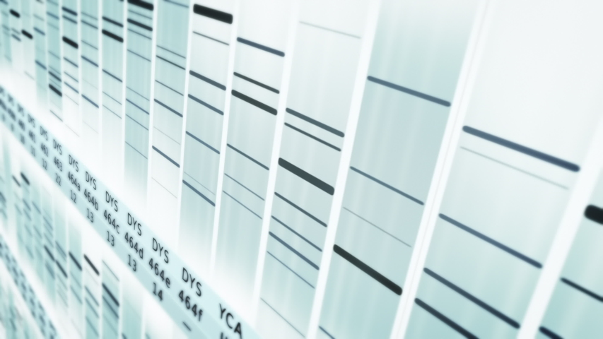 Genomic analysis animation. DNA genomes sequencing, deoxyribonucleic acid genetic map and genome sequence analyze.  Royalty-Free Stock Footage #1044439465