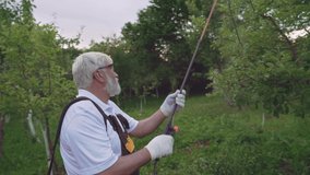 Senior man with grey beard in protective clothing, glasses and gloves spraying chemicals on fruit trees from insects at backyard. Male farmer working at home during summer days.
