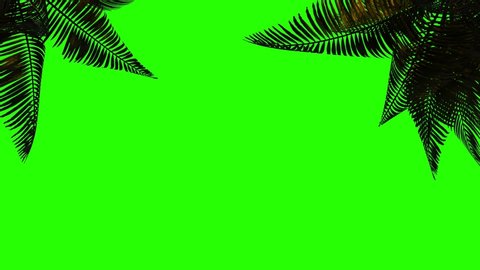 Animated palm branch and leaves in the wind on a green background. 
Keying, green background on green screen.