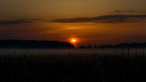 sunrise over field timelapse,  Sunrise over wild field, mist rises over the field, morning mist over the field, Landscape Timelapse, Rural countryside landscapes natural backgrounds