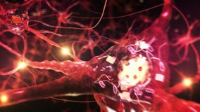Animation of neuron cells with glowing links. Synapse. Journey through a colorful network of nerve cells with impulses passing by. Loopable. - Powered by Shutterstock - Get 15% off with code: PIKWIZARD15