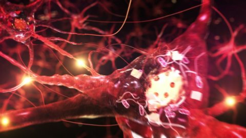 Animation of neuron cells with glowing links. Synapse. Journey through a colorful network of nerve cells with impulses passing by. Loopable.