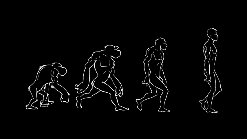
Human Evolution. Monkey, Neanderthal, Primate and Homo Sapiens walking. Hand drawing animation. Black background. Loopable. Royalty-Free Stock Footage #1044591802