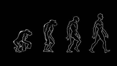 
Human Evolution. Monkey, Neanderthal, Primate and Homo Sapiens walking. Hand drawing animation. Black background. Loopable.