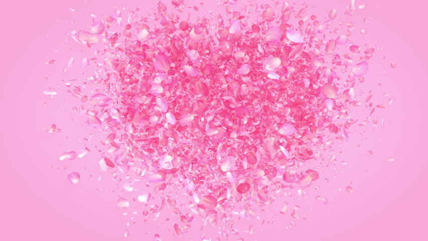 Pink Rose Petals Heart background Royalty-Free Stock Footage #1044595192