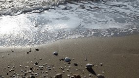 Sandy beach with stones and shells. Sea or ocean wave with white foam rolls ashore. Summer holiday, vacation outdoors concept. Nature, harmony and peace backdrop. Selective focus video. Close-up.
