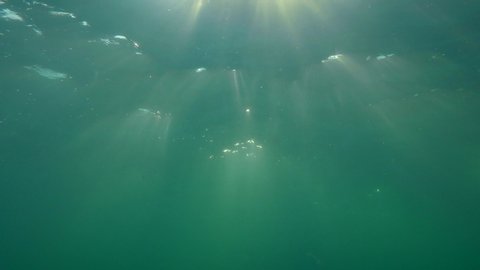 The sun's rays breaking to the water column through the rippling surface of the sea.