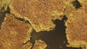 Aerial View Of Dry Grass Landscape. Top View Of River Coast From High Attitude In Late Autumn Evening. Marsh Bog. Drone View.  - Powered by Shutterstock - Get 15% off with code: PIKWIZARD15