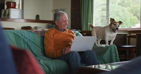 Front view of a senior Caucasian man relaxing at home in his living room, sitting on the sofa using a laptop computer with his pet dog sitting on the sofa beside him and jumping down, slow motion