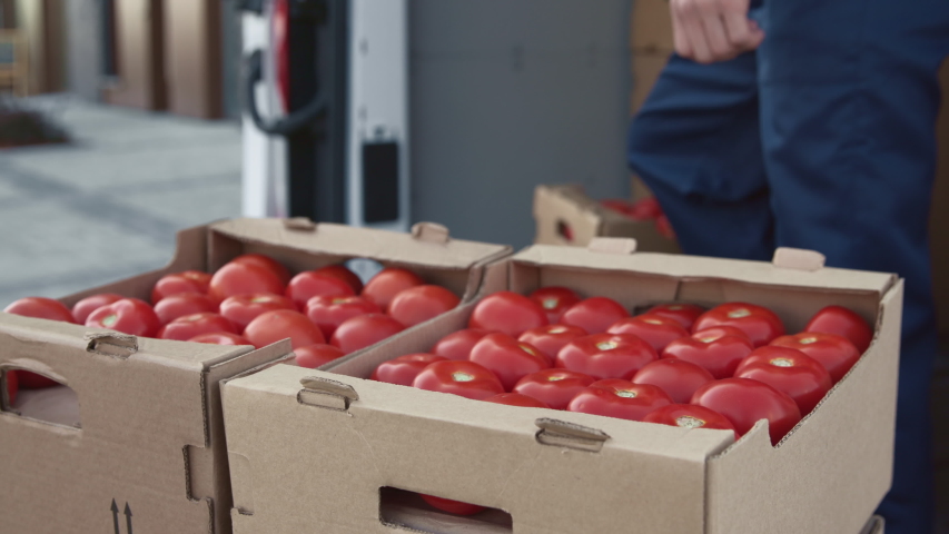 Transportation of Food on Truck. Shipment Order of Foodstuff from Industrial Warehouse for Sale. Worker Carries and Sorts Boxes of Tomato for Supplier. Concept of Transfer Company or Carriage on Lorry Royalty-Free Stock Footage #1044654589