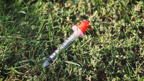 Used syringe hypodermic needle used to inject drugs is discarded on the lawn of a public park