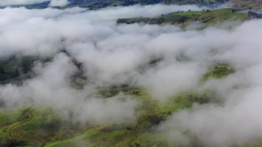 Seen from a bird