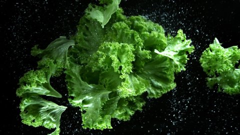 Super Slow Motion Shot of Rotating and Cutting Fresh Lettuce at 1000fps.