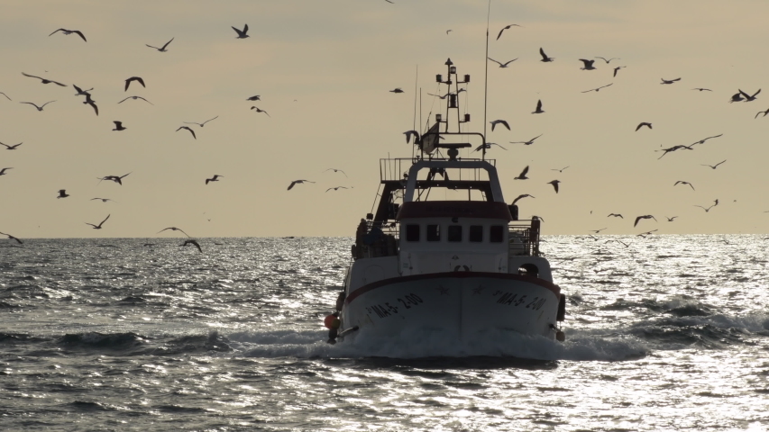 Fisher ship entering to port with seagulls flying around at sunset Royalty-Free Stock Footage #1044666088