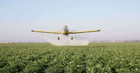 Front view of a crop duster flying low and spraying chemicals over vegetable crops