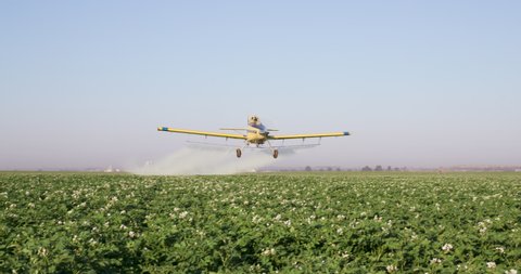 Front view of a crop duster flying directly towards camera spraying chemicals over vegetable crops