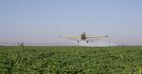 Side view of a crop duster flying low and spraying chemicals over vegetable crops
