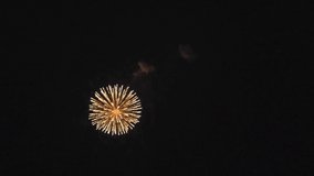 Fireworks blooming in the winter night sky. Slow motion video.
