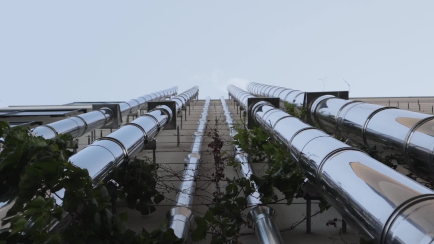 Metal pipes surrounded by vines on building facade