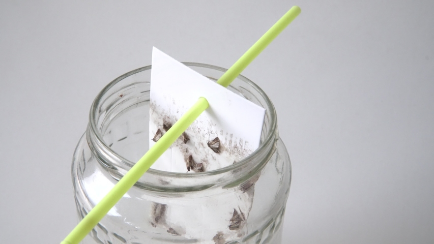 The eradication of food moths with Do it Yourself type device. An adhesive paper with a special coating to attract insects. The nutrition pests destruction.