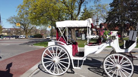 Frankenmuth, Michigan / USA - 05 10 2019 : White Horse Drawn Carriage With White Horse Left To Right Panoramic View