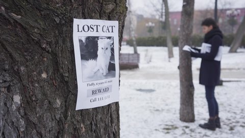 Blurred Caucasian woman hanging missing cat ads on trees, one advertisement is on the foreground. Young girl searching for lost pet. Loss, despair, search. Focus on the foreground.