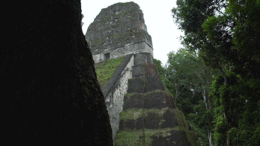 Mayan Temple Tikal in Guatemala -  | Shutterstock HD Video #1044749374