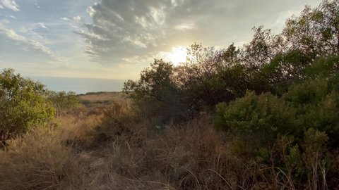 The camera slowly moves along the path through tall, dry bushes. Steadicam shot. Beautiful sunset in Malibu. California, USA