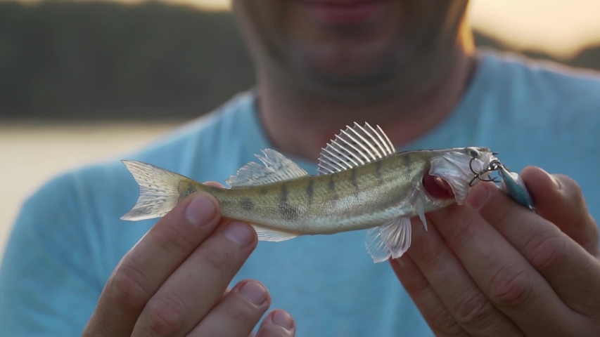 Fisherman is holding small fish that he catched