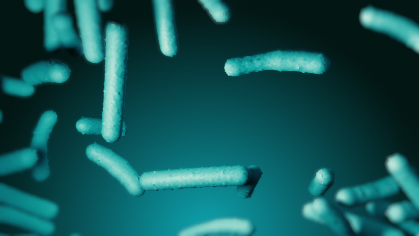 Probiotic lactobacilli under microscope. Scientific 3d medical render of bacterias floating on gradient green background with blurred elements. Bifidobacterium cells moving. Macro view | Shutterstock HD Video #1044802579