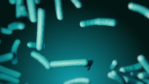 Probiotic lactobacilli under microscope. Scientific 3d medical render of bacterias floating on gradient green background with blurred elements. Bifidobacterium cells moving. Macro view