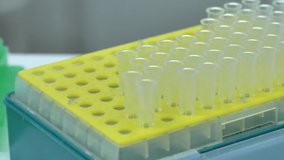 The small white tubes on the yellow rack in the table in Tokyo Japan inside the biology lab - Powered by Shutterstock - Get 15% off with code: PIKWIZARD15